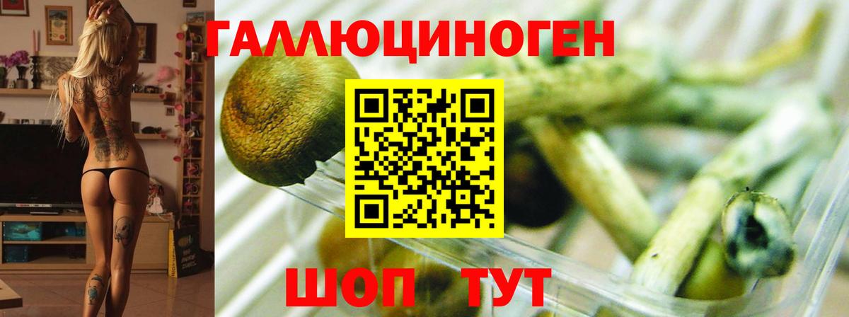 Галлюциногенные грибы Magic Shrooms  Псилоцибиновые грибы мицелий  Иваново  Вход с VPN 
